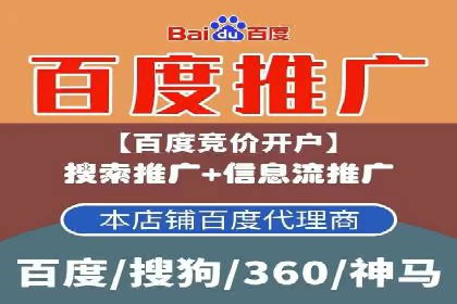 百度竞价赚钱的技巧与成功案例探讨